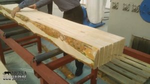 Купить станок многопильный дисковый Алтай 1Ц8 450 новинка pilam.ru