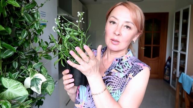 Необычные ДЕРЕВЬЯ. Копеечный АВТОПОЛИВ своими руками смотреть онлайн