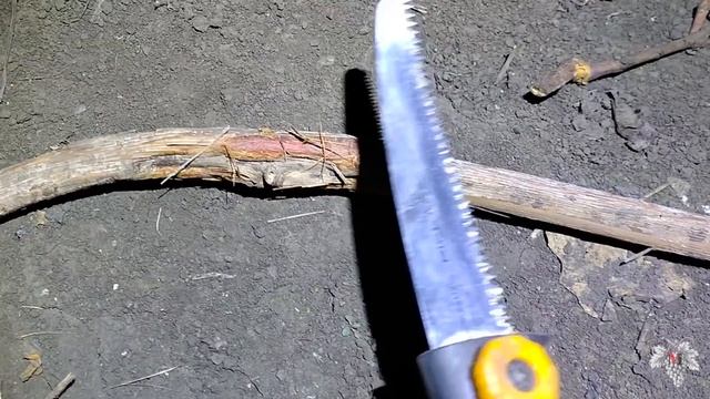 Не спешите паниковать! Это не бактериальный Рак!