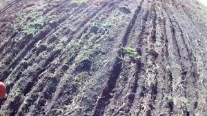 АДАПТЕР ДЛЯ МОТОБЛОКА ..БОРОНУЕМ..