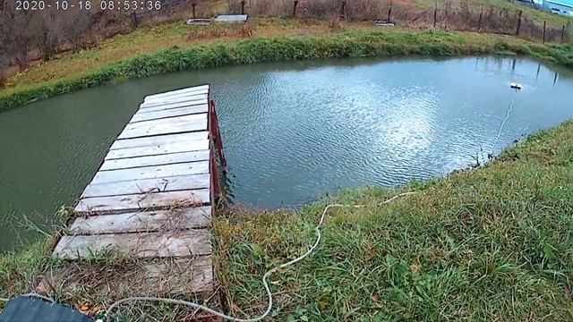 Разведение рыбы в пруду.