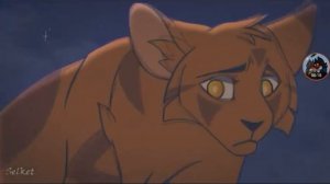 || Cats Warriors || ~ Какие песни звучат в головах котов-воителей? - 4 часть