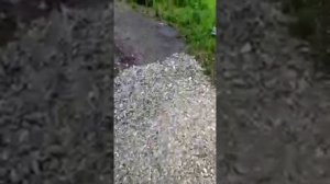Родник в Винновской Роще, Ульяновск