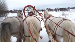 На русской тройке по зимним полям!