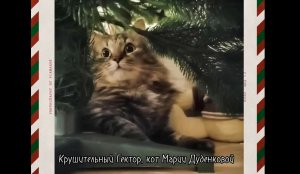 Прощание с Годом Кота (Античный театр)