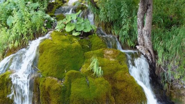 Медитативная практика "Диагностика и завершение прошлых связей" смотреть онлайн