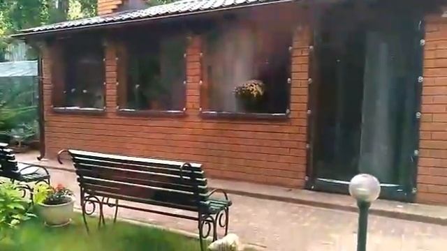 Мягкие окна для беседки - Жуковский | Шторы ПВХ - Наши работы. смотреть онлайн