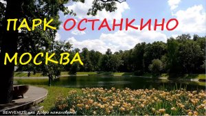 Прогулка по парку Шереметьевская дубрава и Останкино. Москва, ВДНХ