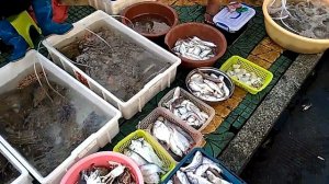 Рыбный рынок в Китае