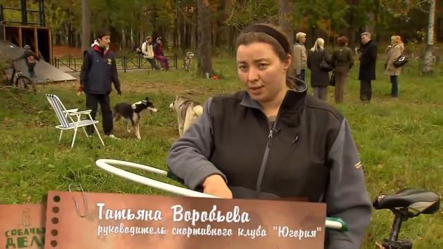 Что необходимо знать владельцам собак об онкологии смотреть онлайн