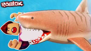Роблокс СТАЛ МЕГАЛОДОНОМ И ВСЕХ СЪЕЛ летсплей симулятор выживания в ROBLOX SharkBite