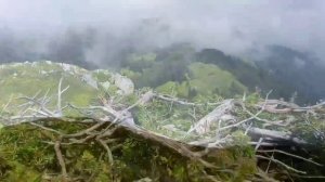 Гора Мамзышха в Абхазии . Для вас откроется потресающий вид на черноморское побережье Абхазии и Сочи