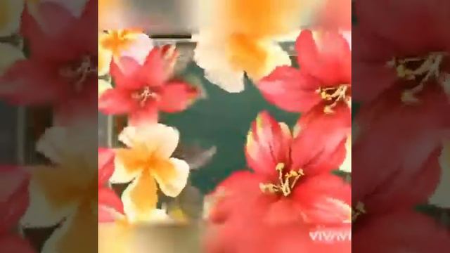 С днём учителя смотреть онлайн