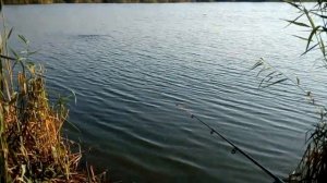 Обзор Лучшего безпроводного Эхолота Fishfinder Phiradar