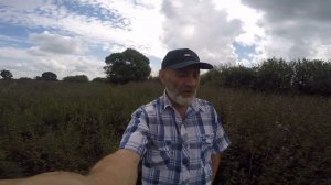 ТАТАРНИК, БОДЯК, ЧЕРТОПЛОХ ИЛИ....