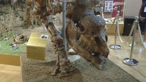 Азов История города Супер Факты