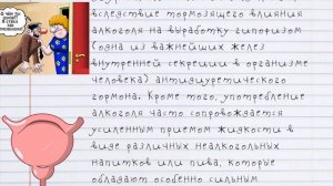МОЧЕВОЙ ПУЗЫРЬ. Какие бывают ПОВРЕЖДЕНИЯ МОЧЕВОГО ПУЗЫРЯ. Профилактика Повреждений Мочевого Пузыря!