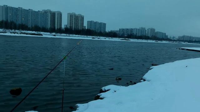 ЛОВИМ РЫБУ НА ДОНКУ В ЯНВАРЕ . #рыбалка #рыбалканадонку #ловлянафидер смотреть онлайн