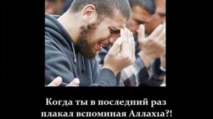 Коран.чтение Корана(Шейх Абу-Бакр Аш Шатри)