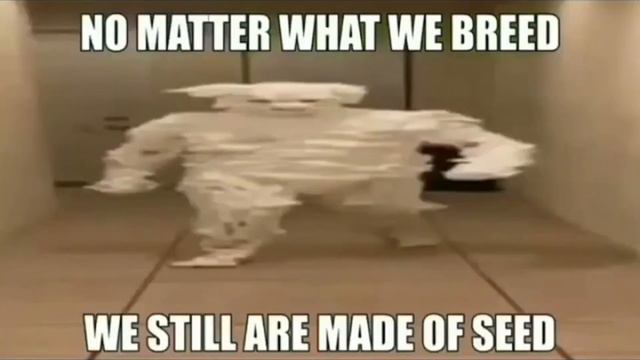 this is my kingdom come - meme compilation