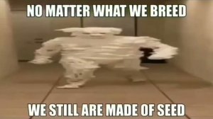 this is my kingdom come - meme compilation