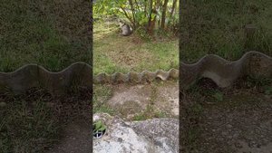 Как приручить БЕЗДОМНОГО котёнка? Кошечка ПРИНЦЕССА снова зашла в гости. ЧАСТЬ 4.