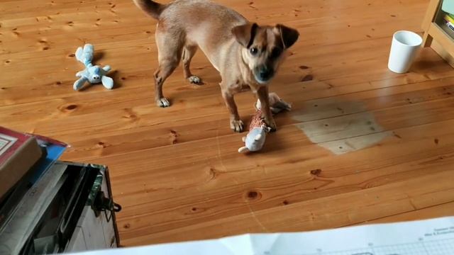 Зарисовки апреля. Часть 5. Румтур по даче, раскраски по номера. 2 старта. смотреть онлайн