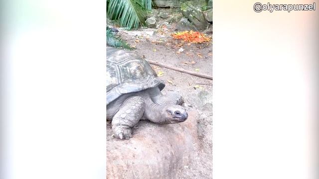 Ураган на Сейшелах смотреть онлайн