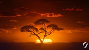 Anhidema - Welcome To Infinity Forewer