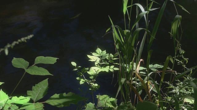 ПО УЛИЕ МОЕЙ. Алла Пугачева. Романс из кинофильма "Ирония судьбы или с легким паром" смотреть онлайн