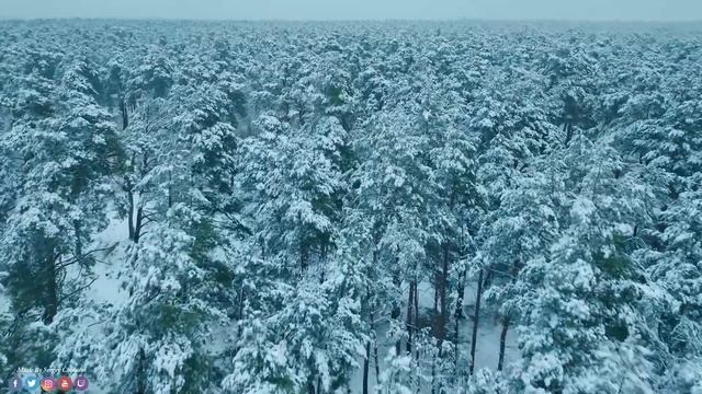 Спокойная Музыка Для Снятия Стресса! Нежная музыка, успокаивает нервную систему и радует душу смотреть онлайн