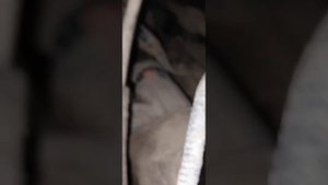 Туксон 1 двигатель не заводиться и не крутит стартер одна из причин