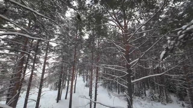 Зимняя сказка FPV смотреть онлайн