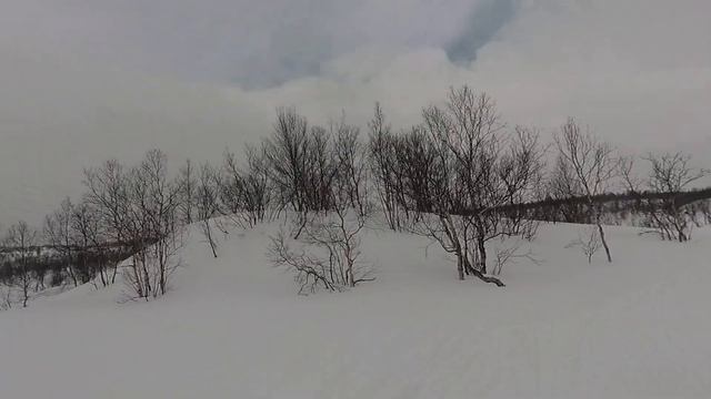 Праздник Севера 2023 - Мурманский лыжный марафон (половинка, 25 км) смотреть онлайн