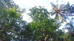 Мальдивы. Как мы Выбрали Остров или Зачем Русские Покупают Остров на Мальдивах. Серия #5