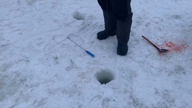 Рыбалка в Красногорске.BigCarp.Ловля форели.Рыбалка на платнике.Беседки,отдых,рыбалка,досуг