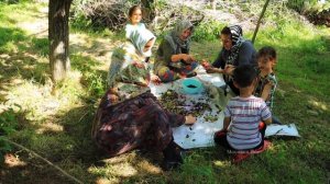 Rural Life in Iran _ Daily Village Life in the Mountains of Iran