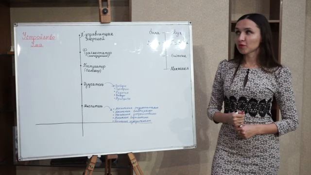 Устройство ума | Прикладная наука
