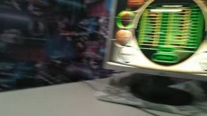 как поставить управления в игре дальнобойщик 2