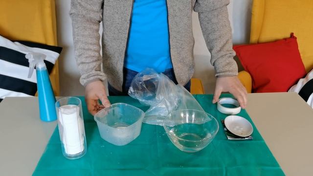 Как быстро прорастить семена