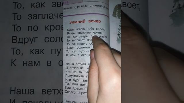 Буря мглою небо кроет вихри снежные крутя; то, как зверь, она завоет то заплачет, как дитя