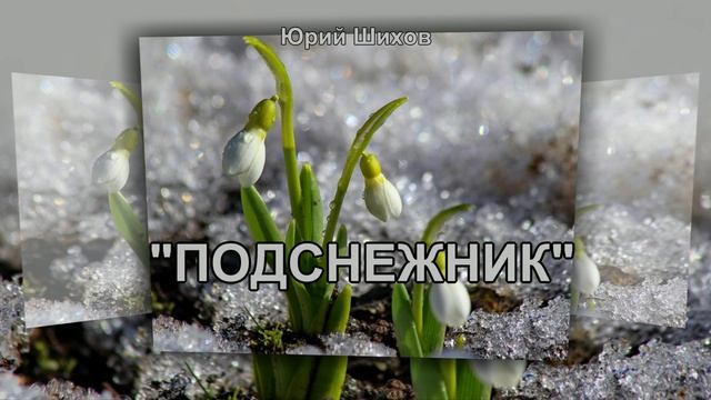 Подснежник