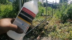 Забор из штакетника в шахматном порядке, цветной стороной во внутрь участка.