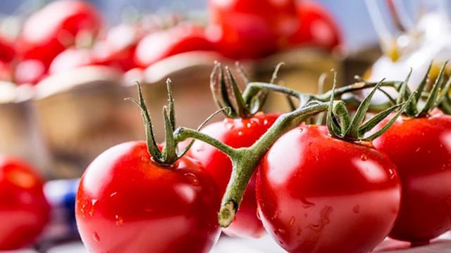 Полезные свойства красных помидоров: использование томатов в быту и косметологии смотреть онлайн