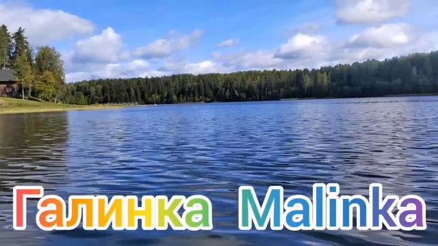 Ольга Уралочка live /Начались разборки /Обзор Влогов /Уралочка и Сафар /