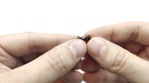 Устройство свитча мыши. Их ресурс, задержка и дабл клик