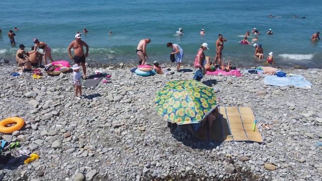 Хозяин пляжа Виталий дозором обходит владения свои. Пляж "Камчатка" .Июль 2021. ?ЛАЗАРЕВСКОЕ СЕГОДН смотреть онлайн