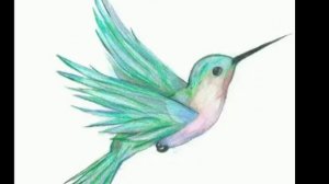 Колибри - самая маленькая птица на планете Земля. Мы расскажем вам всё о ней