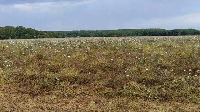 Заготовка сена на зиму! смотреть онлайн