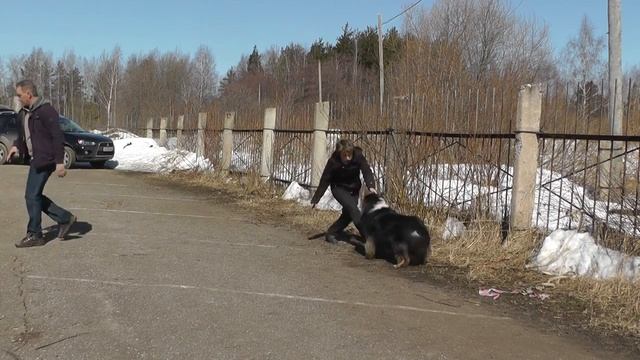 00439 Елена Реутова и Айрис. смотреть онлайн